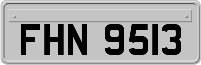 FHN9513