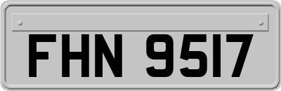 FHN9517