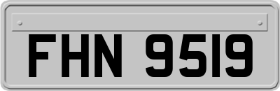 FHN9519