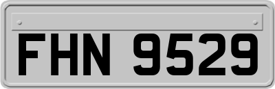 FHN9529