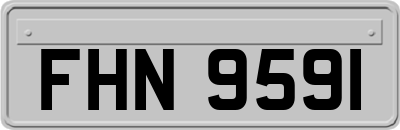 FHN9591
