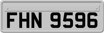 FHN9596