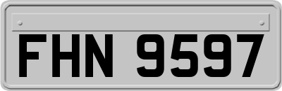 FHN9597