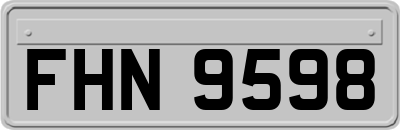 FHN9598