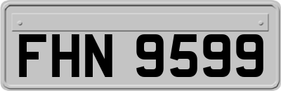 FHN9599
