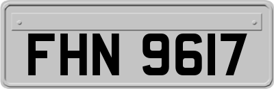 FHN9617
