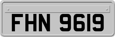 FHN9619