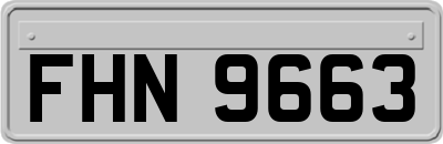 FHN9663