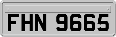 FHN9665