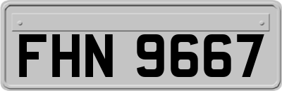 FHN9667