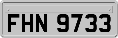 FHN9733
