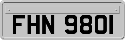 FHN9801