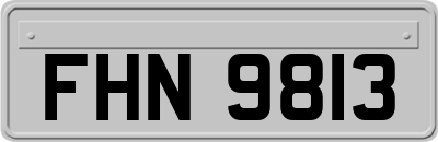 FHN9813