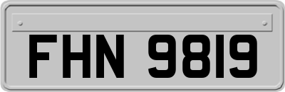 FHN9819