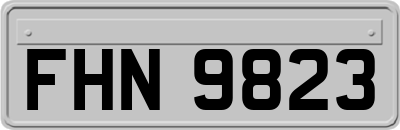 FHN9823