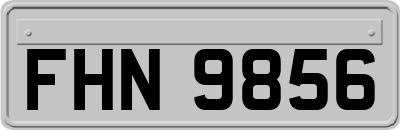 FHN9856