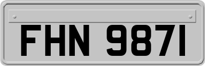 FHN9871