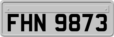FHN9873