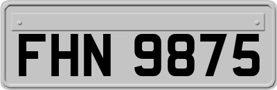 FHN9875