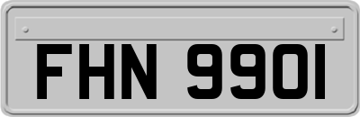 FHN9901