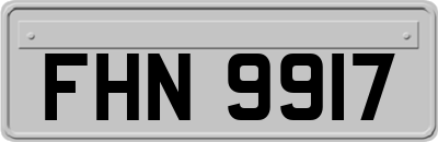 FHN9917