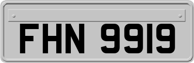 FHN9919