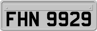 FHN9929