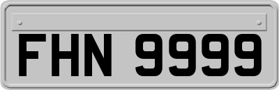 FHN9999