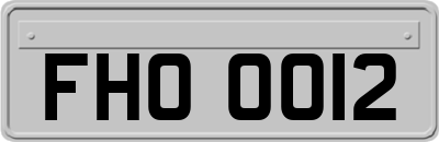 FHO0012
