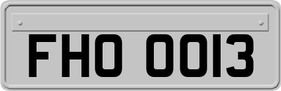 FHO0013