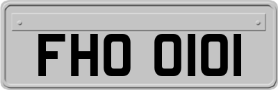 FHO0101
