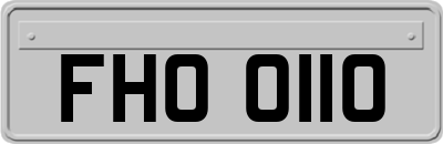 FHO0110
