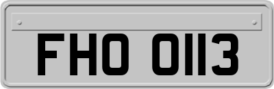 FHO0113