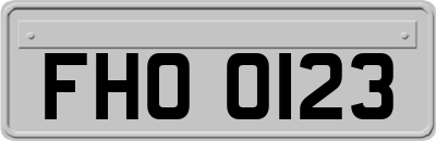 FHO0123