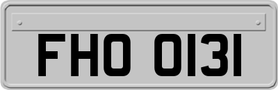 FHO0131
