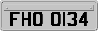 FHO0134