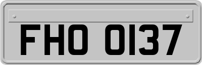 FHO0137