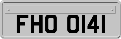 FHO0141