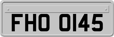 FHO0145