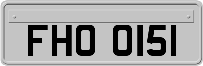 FHO0151