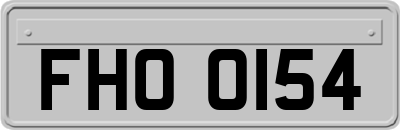 FHO0154