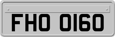 FHO0160