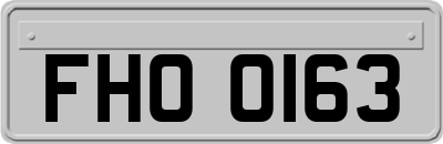 FHO0163