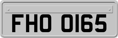 FHO0165