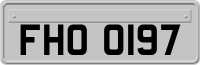 FHO0197