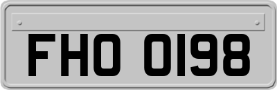 FHO0198