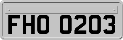 FHO0203