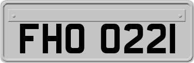 FHO0221