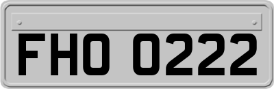 FHO0222