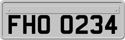 FHO0234